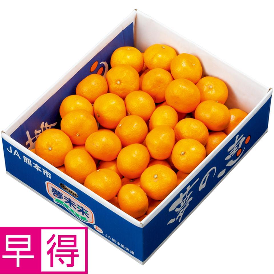 【冬の贈りもの早得】熊本県産 夢未来みかん　夢の恵　Ｓ又はＭサイズ、計４ｋｇ以上 商品サムネイル