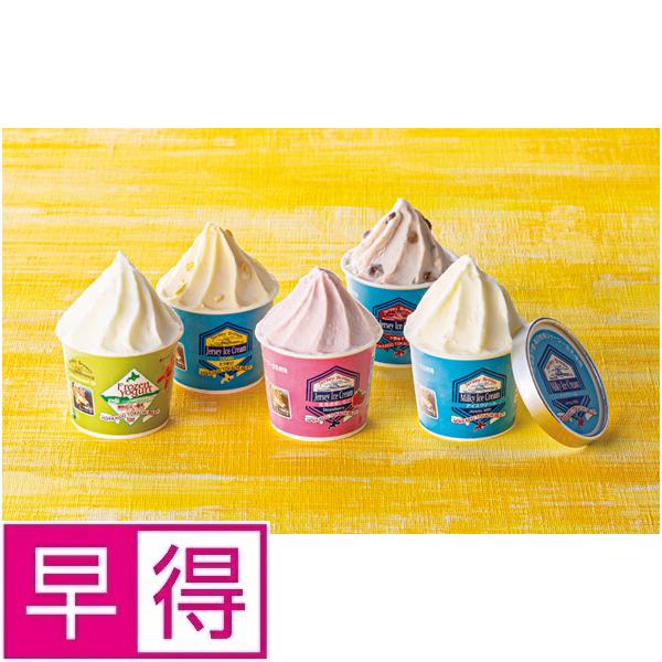 【夏ギフト早得】ジャージーブラウン　十勝ジャージーアイスクリーム１０個セット 商品サムネイル