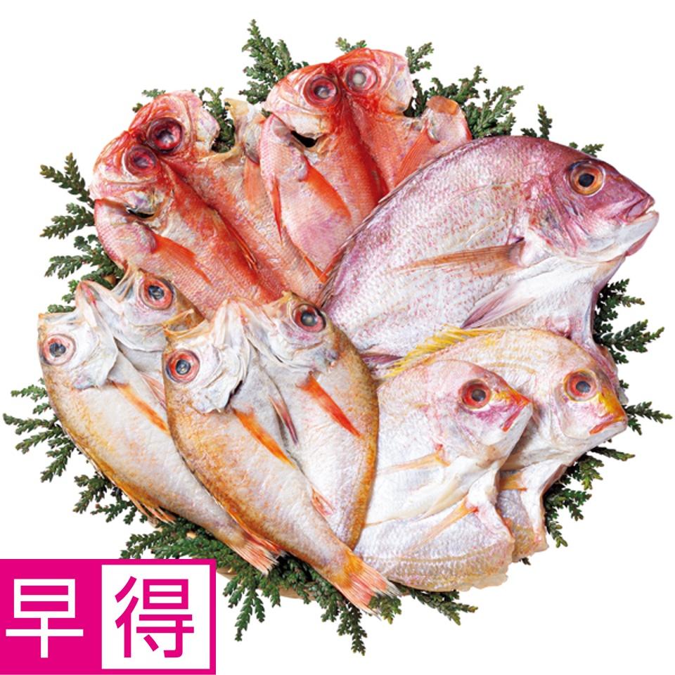 【夏の贈りもの早得】輪島西脇水産 のどぐろ開きと干物セット 商品サムネイル