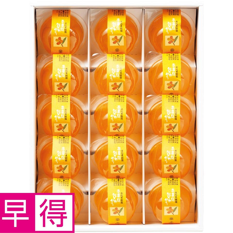 【夏の贈りもの早得】房洋堂 南房総びわゼリー１５個入り 商品サムネイル