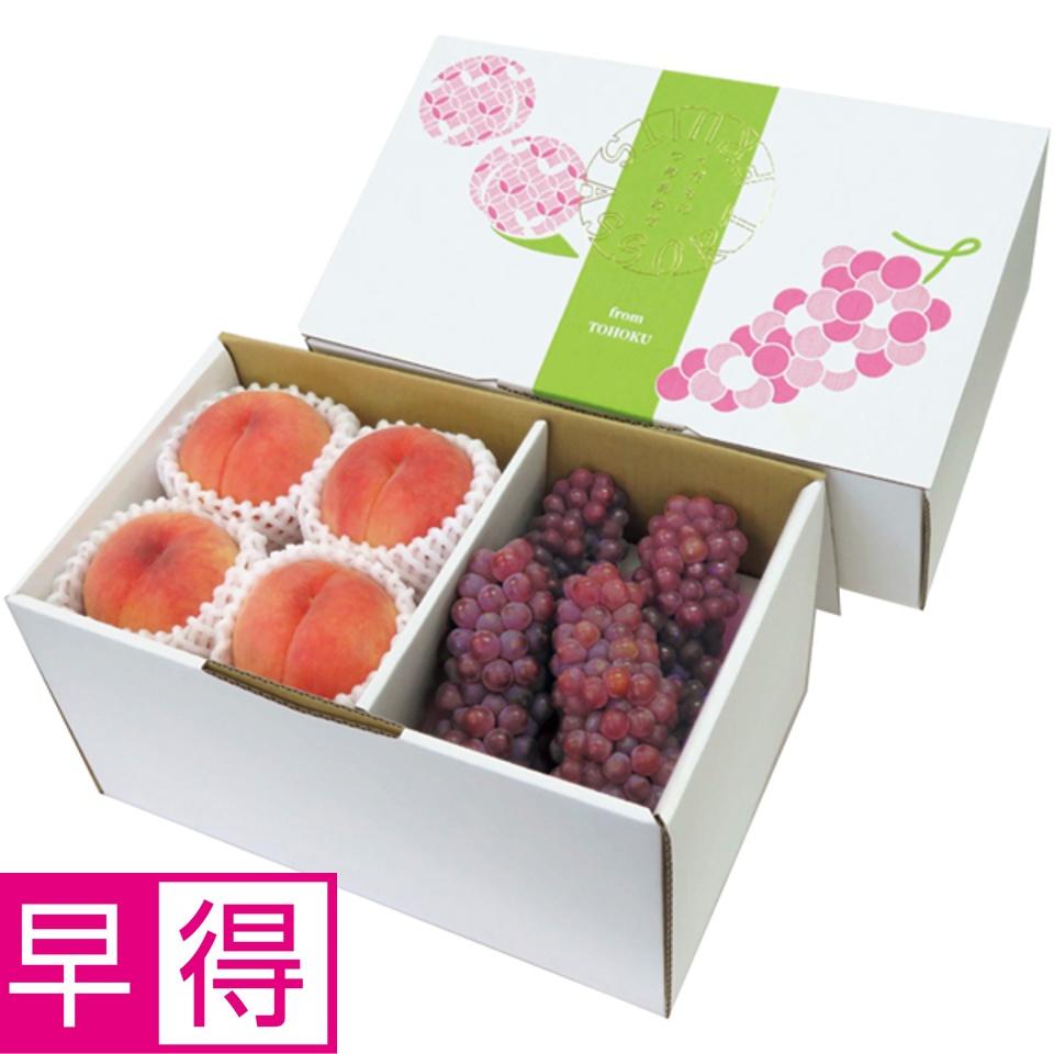【夏の贈りもの早得】山形県産・福島県産 東北・夏のフルーツセット（２種） 商品サムネイル