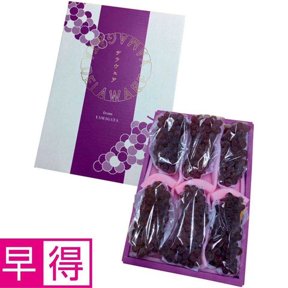 【夏の贈りもの早得】山形県産 デラウェア 商品サムネイル