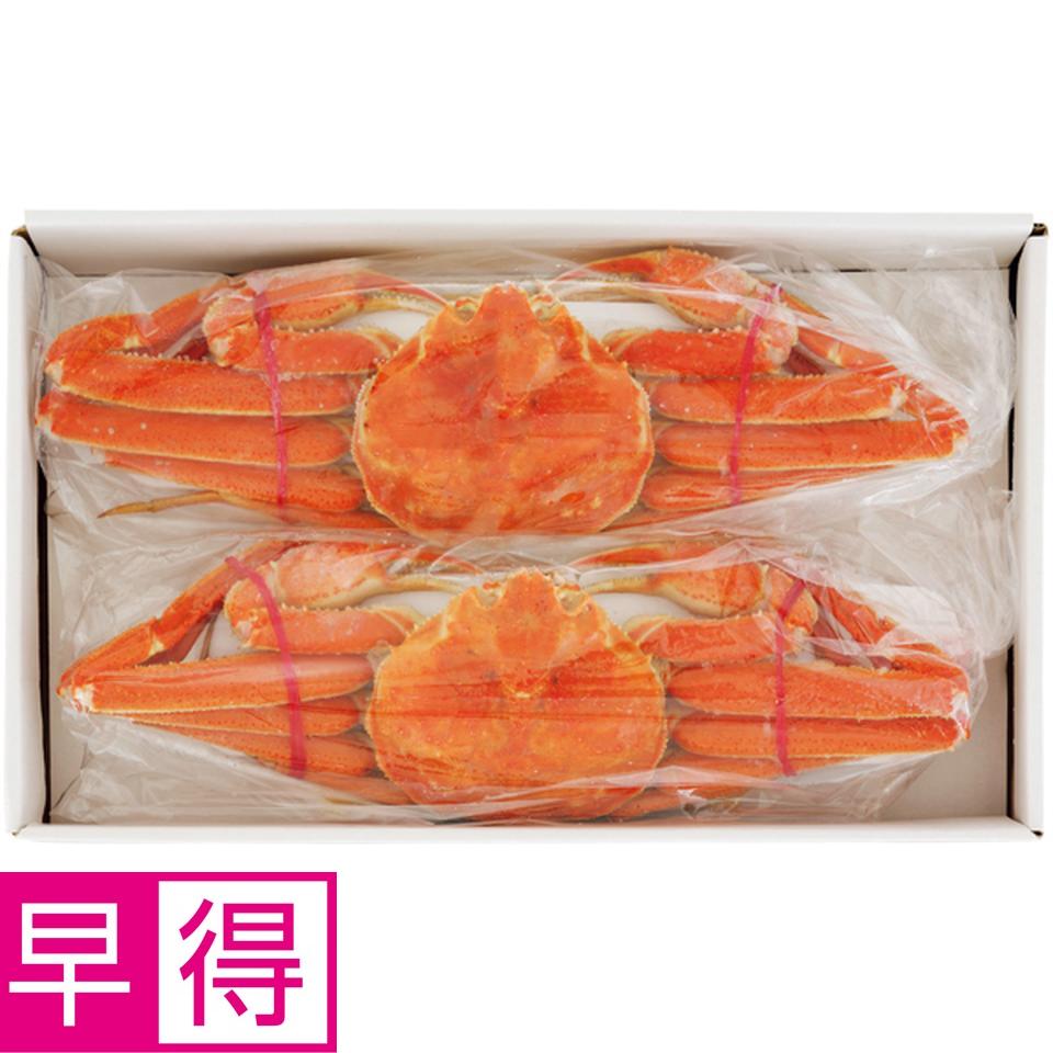 【冬の贈りもの早得】北海道産 浜茹でおおずわいがに姿２尾 商品サムネイル