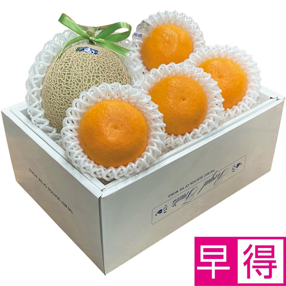 【冬の贈りもの早得】高知県産・愛媛県産 アールスメロン＆紅まどんな 商品サムネイル