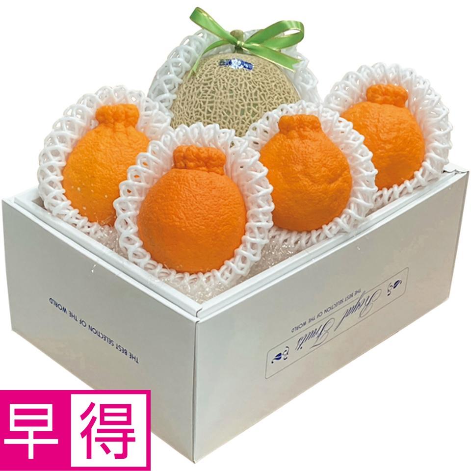 【冬の贈りもの早得】高知県産・熊本県産 アールスメロン＆デコポン（アールスメロン１個、デコポン４個） 商品サムネイル