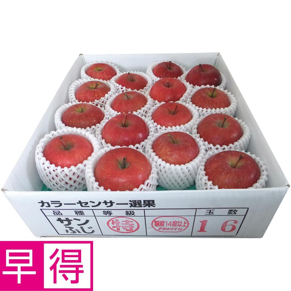【冬の贈りもの早得】青森県産 高糖度選果・サンふじりんご４ｋｇ 商品サムネイル
