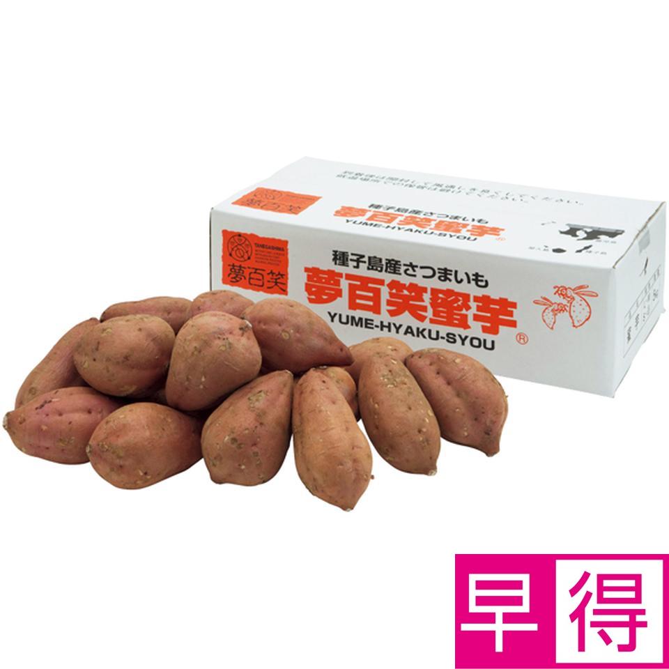 【冬の贈りもの早得】鹿児島県産 種子島　夢百姓安納芋５ｋｇ 商品サムネイル