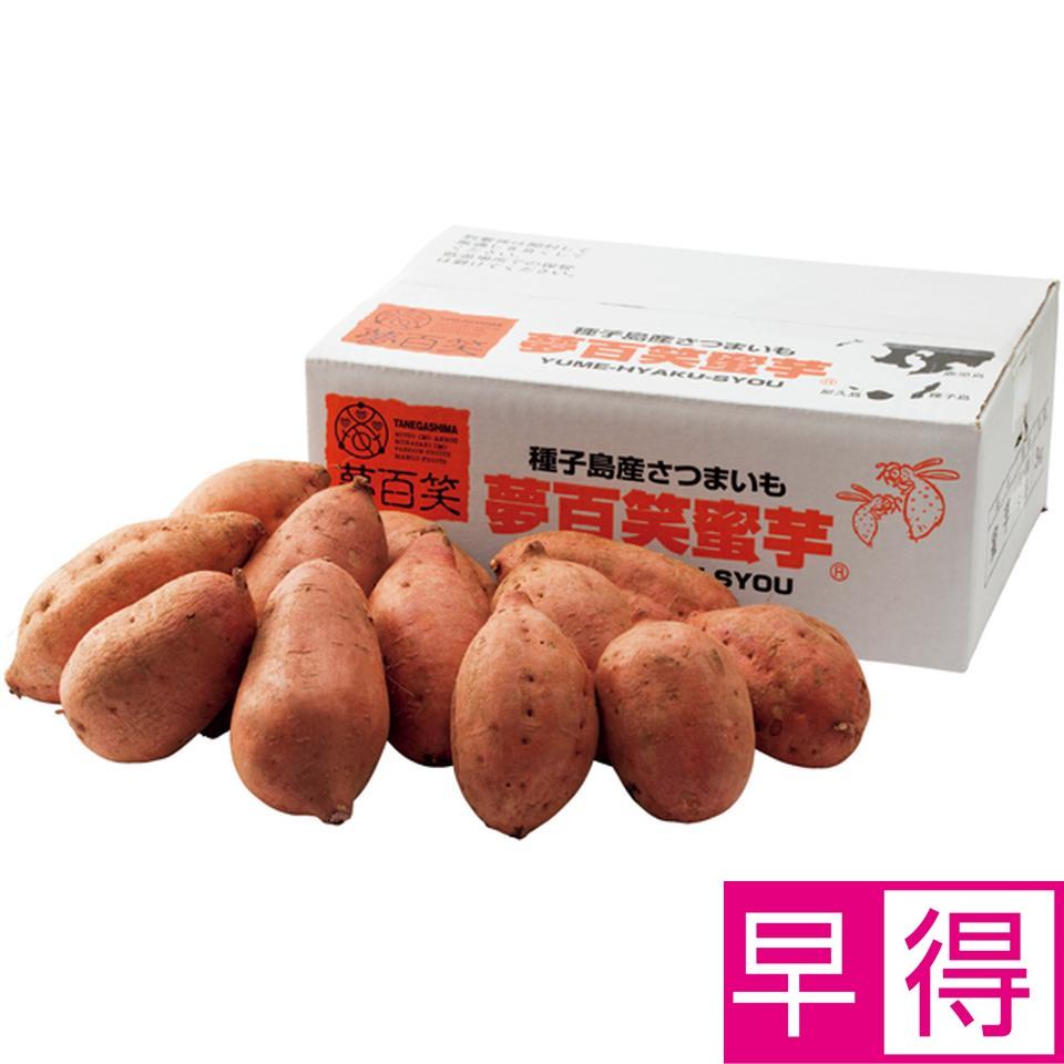 【冬の贈りもの早得】鹿児島県産 種子島　夢百姓安納芋３ｋｇ 商品サムネイル