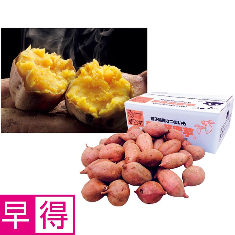【冬の贈りもの早得】鹿児島県産 種子島　夢百姓安納芋小粒３ｋｇ（自宅用） 商品サムネイル