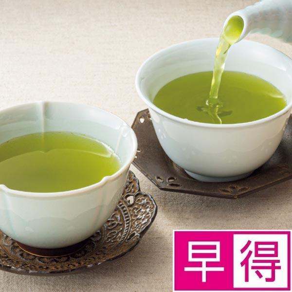 【冬ギフト早得】茶の一茶　狭山深蒸し茶詰合せ 商品サムネイル