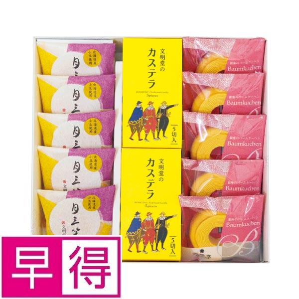 【冬ギフト早得】銀座文明堂　カステラ和洋菓子ギフト 商品サムネイル