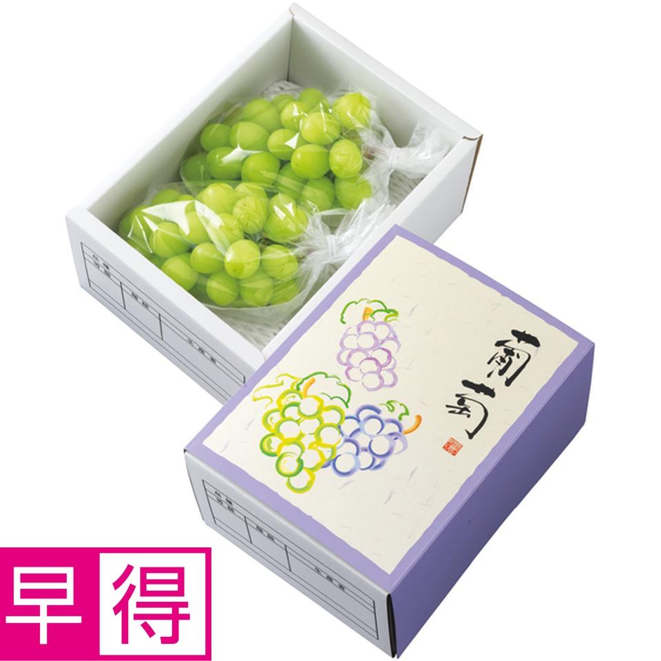 【冬の贈りもの早得】長野県産 シャインマスカット　２房（１ｋｇ以上） 商品サムネイル