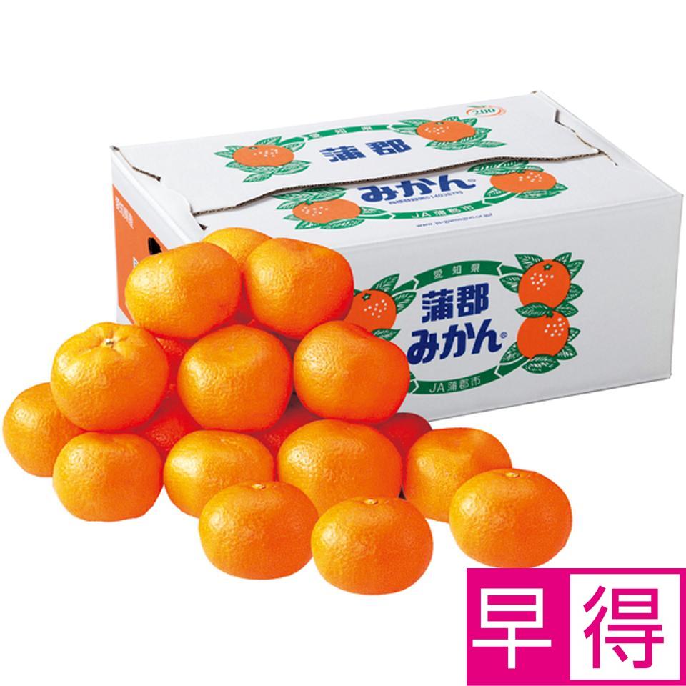 【冬の贈りもの早得】愛知県産 蒲郡みかん５ｋｇ 商品サムネイル