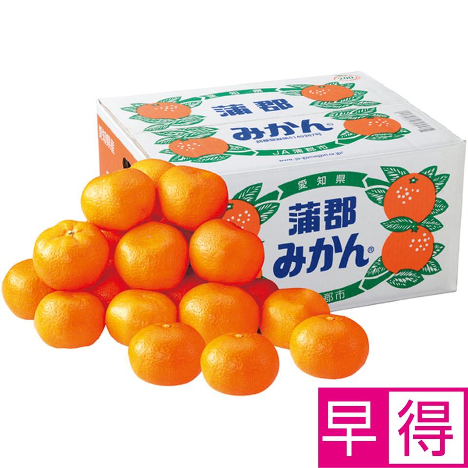 【冬の贈りもの早得】愛知県産 蒲郡みかん１０ｋｇ 商品サムネイル