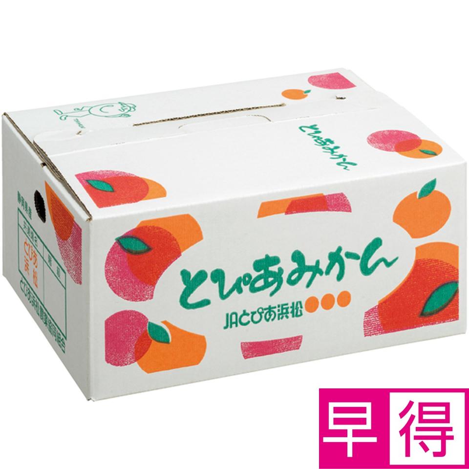 【冬の贈りもの早得】静岡県産 とぴあ浜松みかん３ｋｇ 商品サムネイル