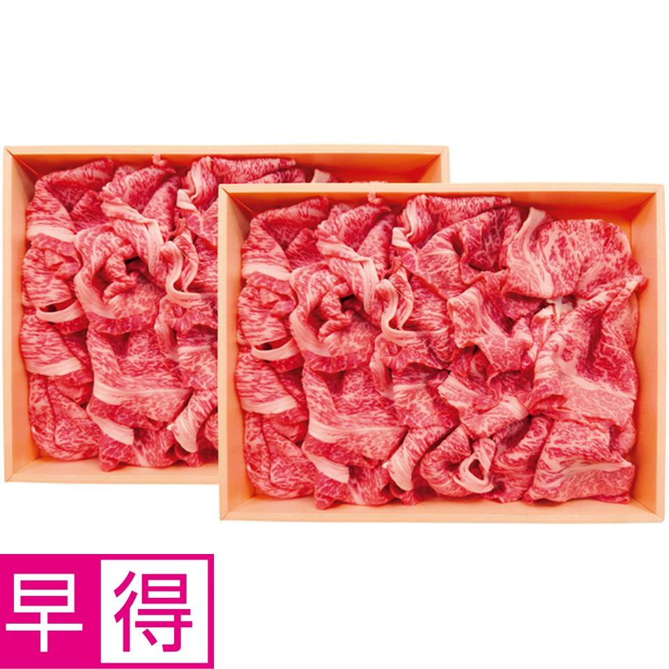 【冬の贈りもの早得】 飛騨牛かた切りおとし 商品サムネイル