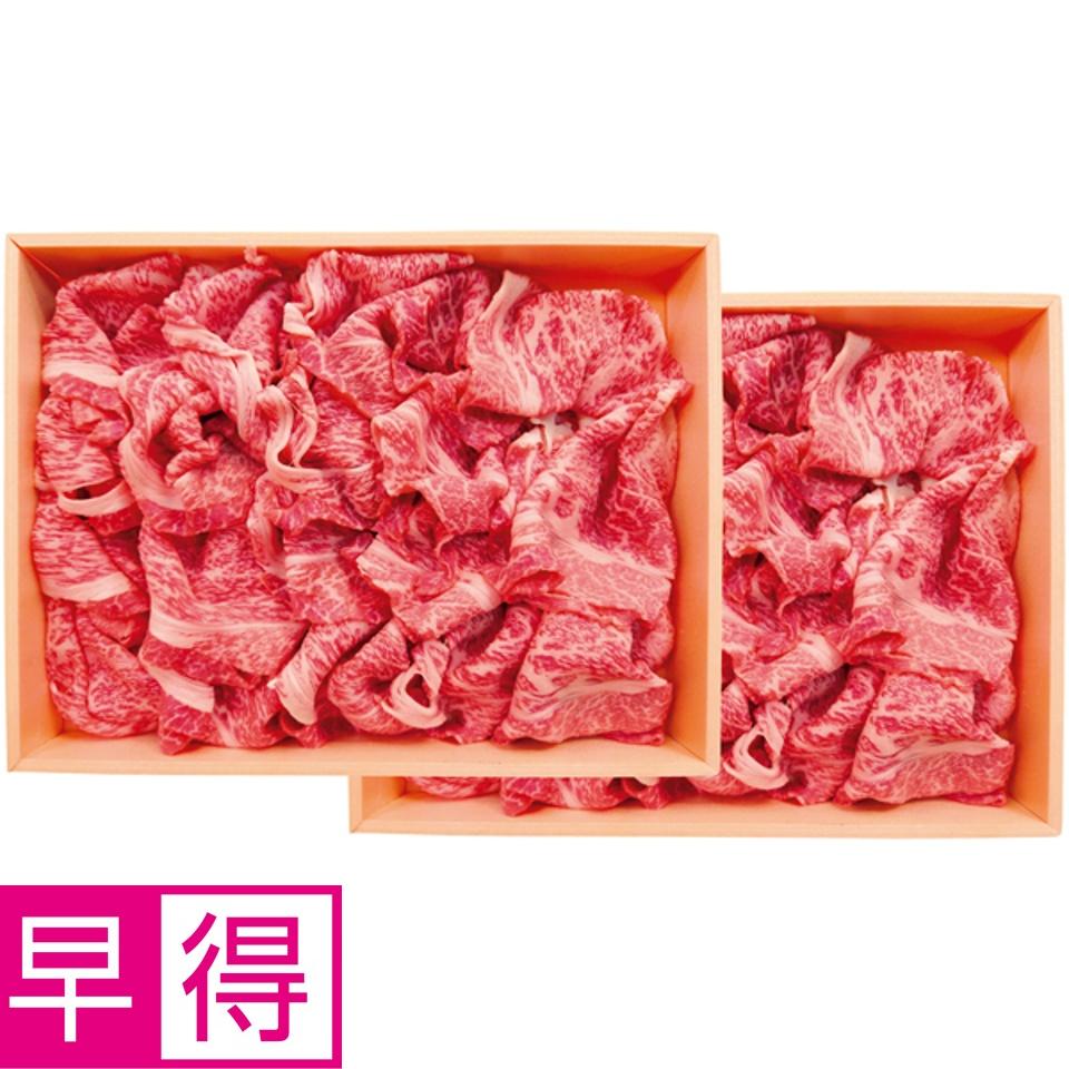 【夏の贈りもの早得】飛騨牛かた切りおとし 商品サムネイル