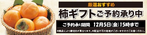 2025「柿ギフト」（全国宅配） バナー画像