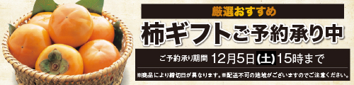 2026 柿ギフト 予約承り中！ バナー画像